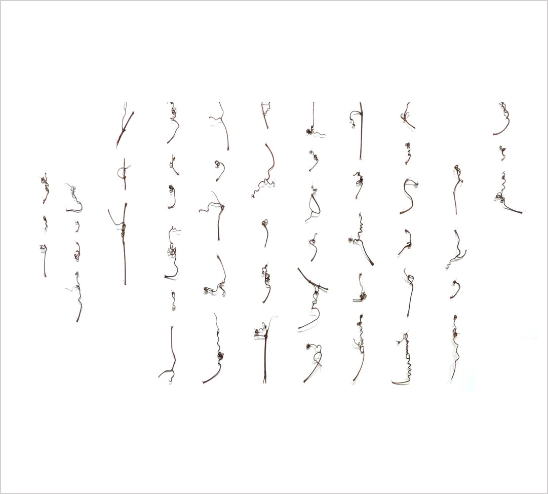 10-自然的手稿之五_F.W.X.